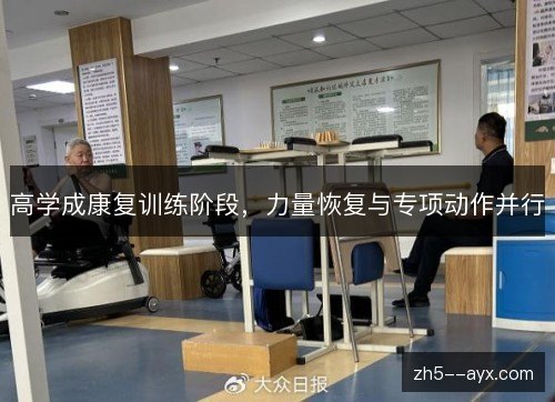 高学成康复训练阶段，力量恢复与专项动作并行