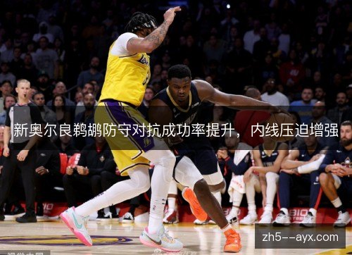 新奥尔良鹈鹕防守对抗成功率提升,内线压迫增强 新奥尔良鹈鹕防守对抗成功率提升,内线压迫增强